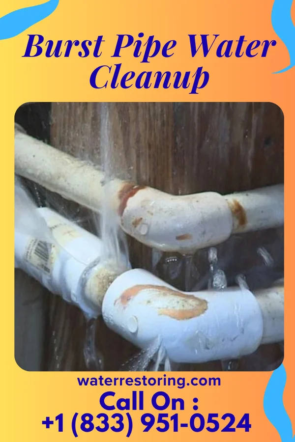 Burst Pipe Water Cleanup in Rockledge, PA