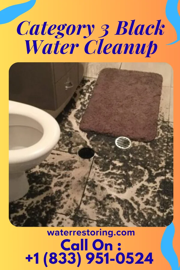 Category 3 Black Water Cleanup in Rockledge, PA