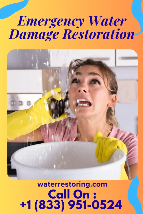 Emergency Water Damage Restoration in Rockledge, PA