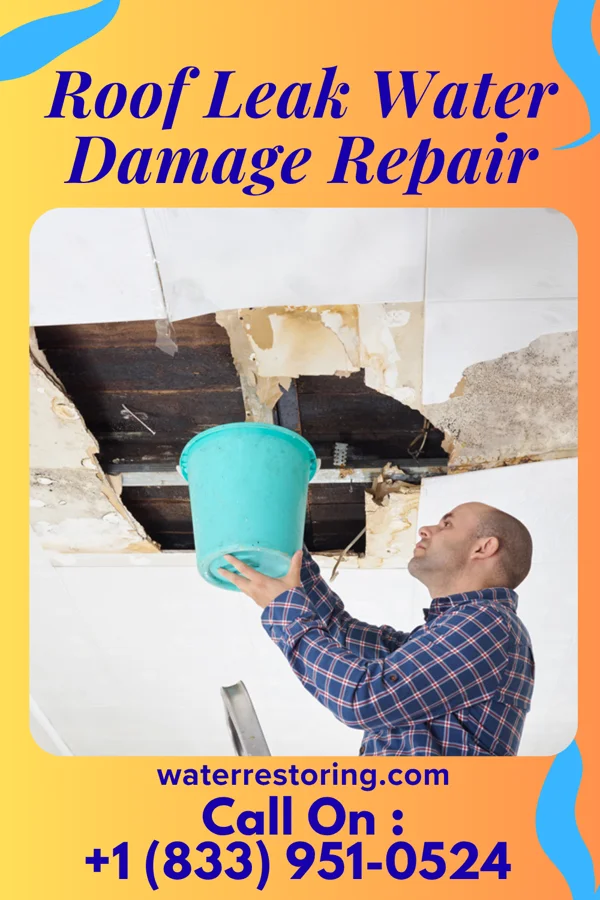 Roof Leak Water Damage Repair in Rockledge, PA