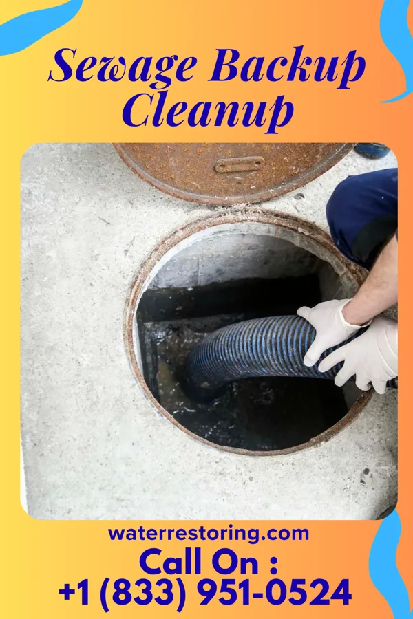 Sewage Backup Cleanup in Rockledge, PA