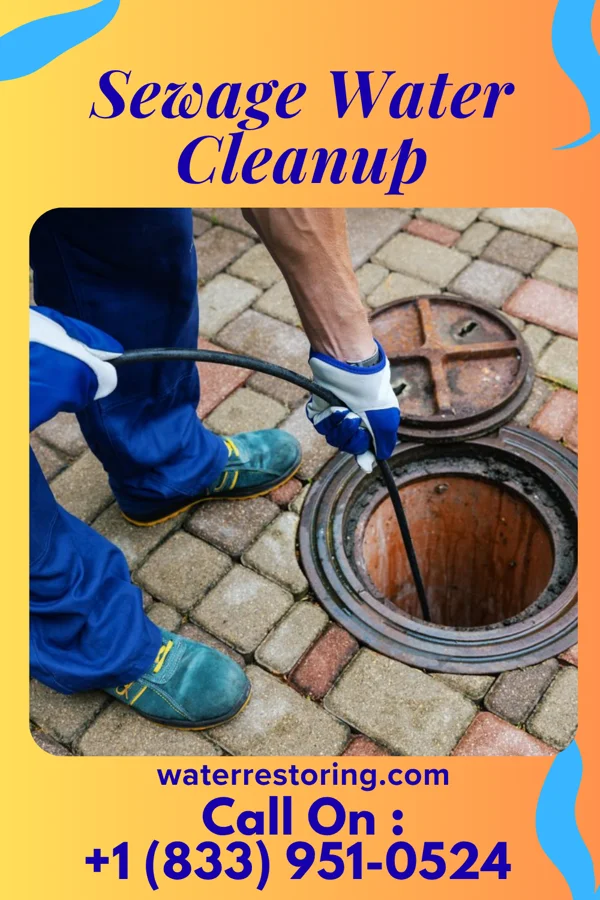 Sewage Water Cleanup in Rockledge, PA