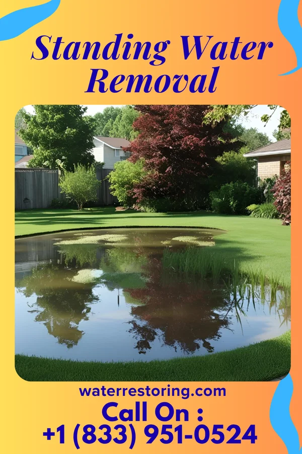 Standing Water Removal in Rockledge, PA